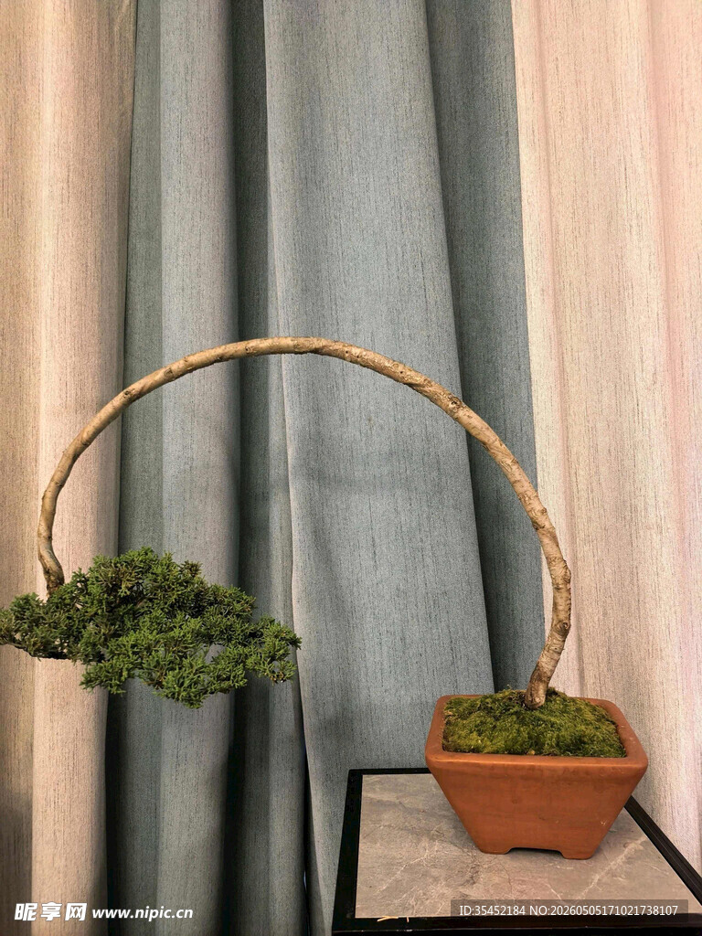 盆景