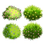 花丛绿植插画
