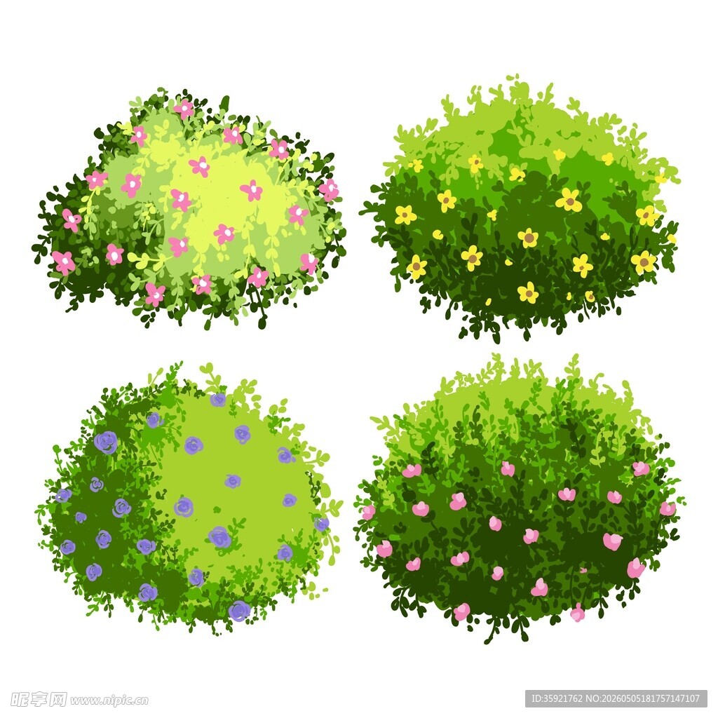 花丛绿植插画