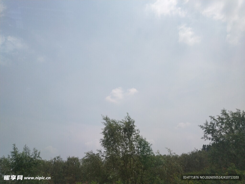 户外绿树蓝天风景