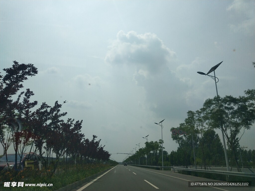 公路旁的绿树与路灯
