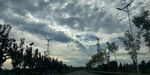 黄昏下道路边的树木与天空