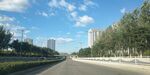 宽阔公路旁绿树与高楼