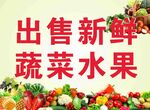 蔬菜海报