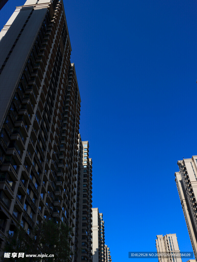 仰观林立高楼