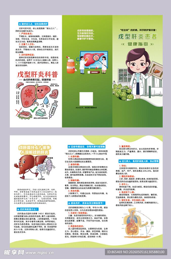 戊型肝炎科普 医疗健康宣传三折