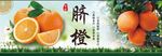 脐橙