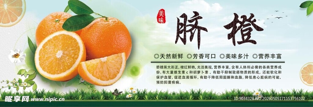 新鲜脐橙展示