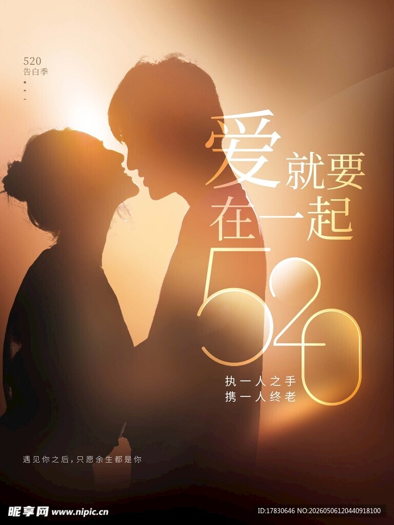 520海报