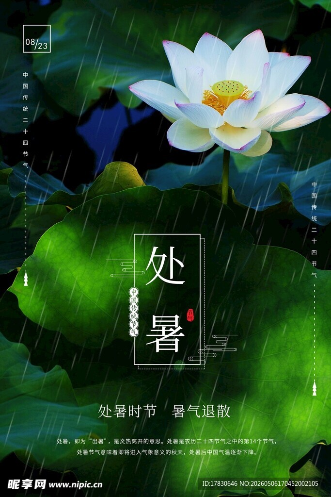 处暑海报