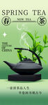 早春新茶