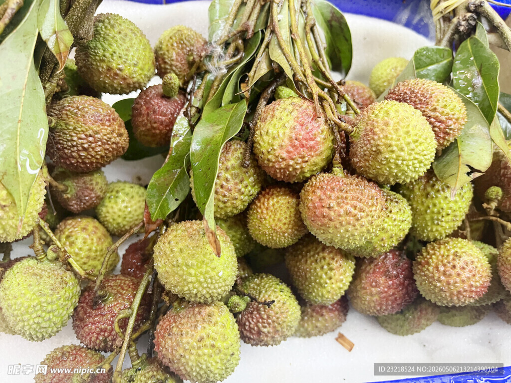 妃子笑荔枝