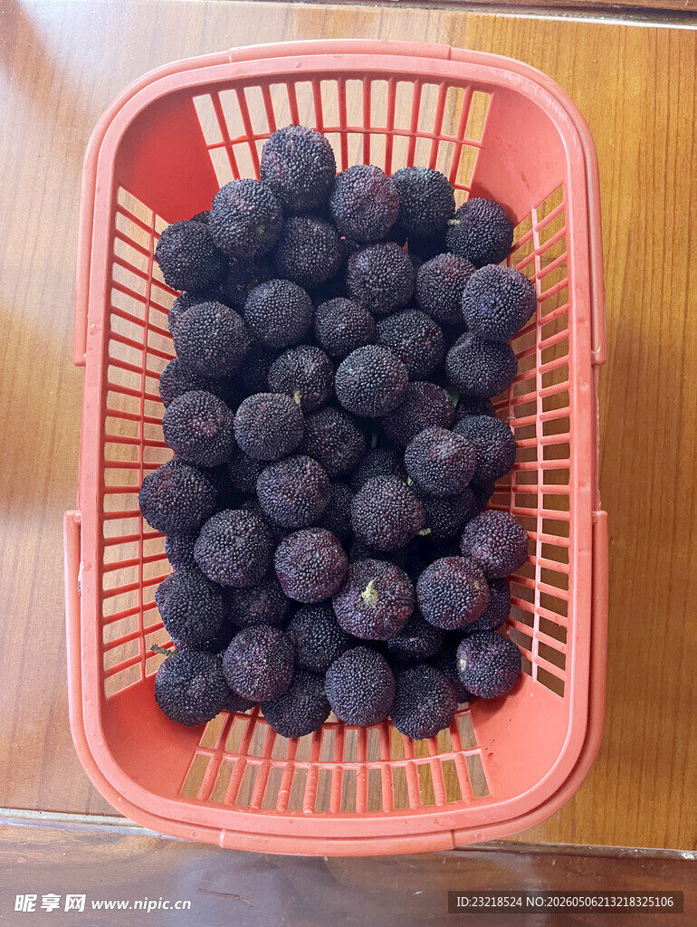 杨梅