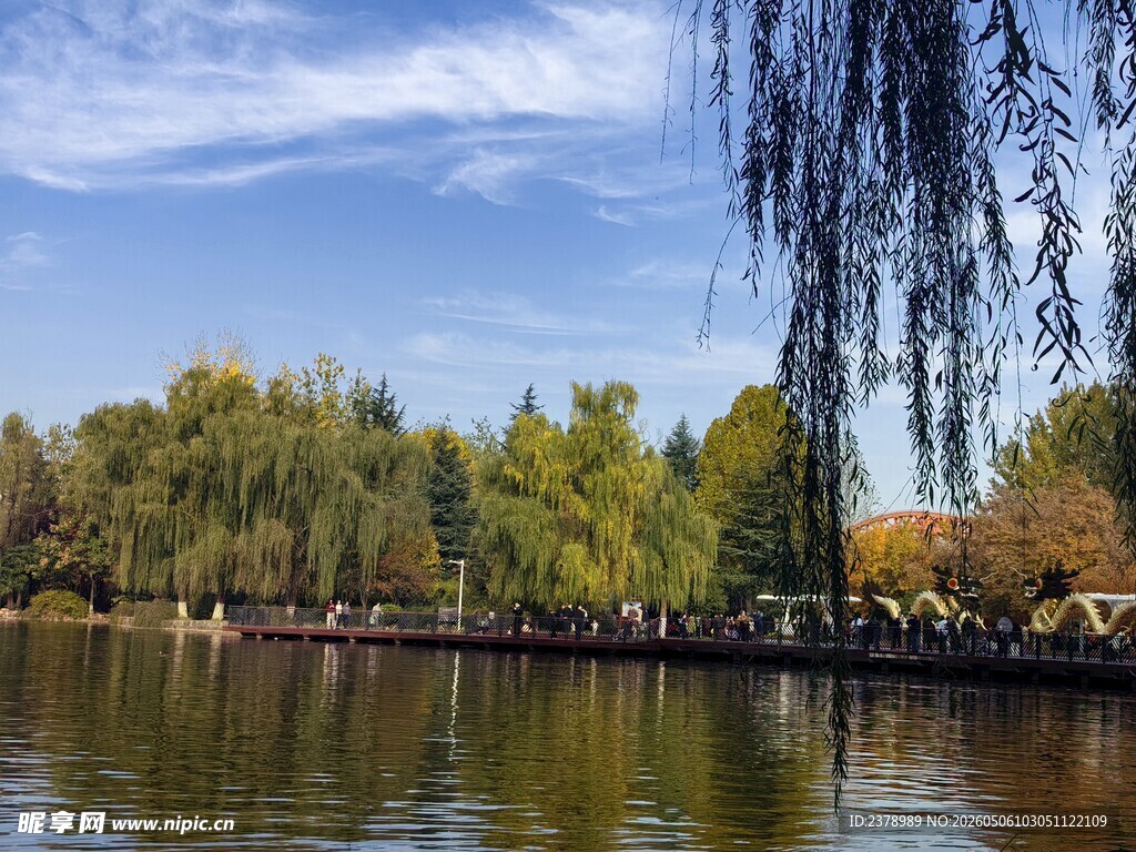 湖畔垂柳映蓝天美景