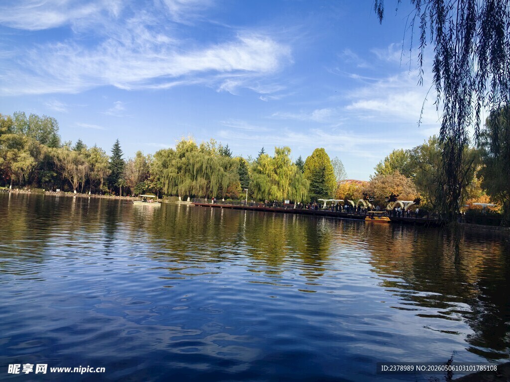 湖畔美景  垂柳碧水蓝天