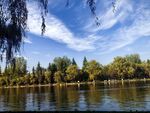 湖畔美景 蓝天白云绿树映湖