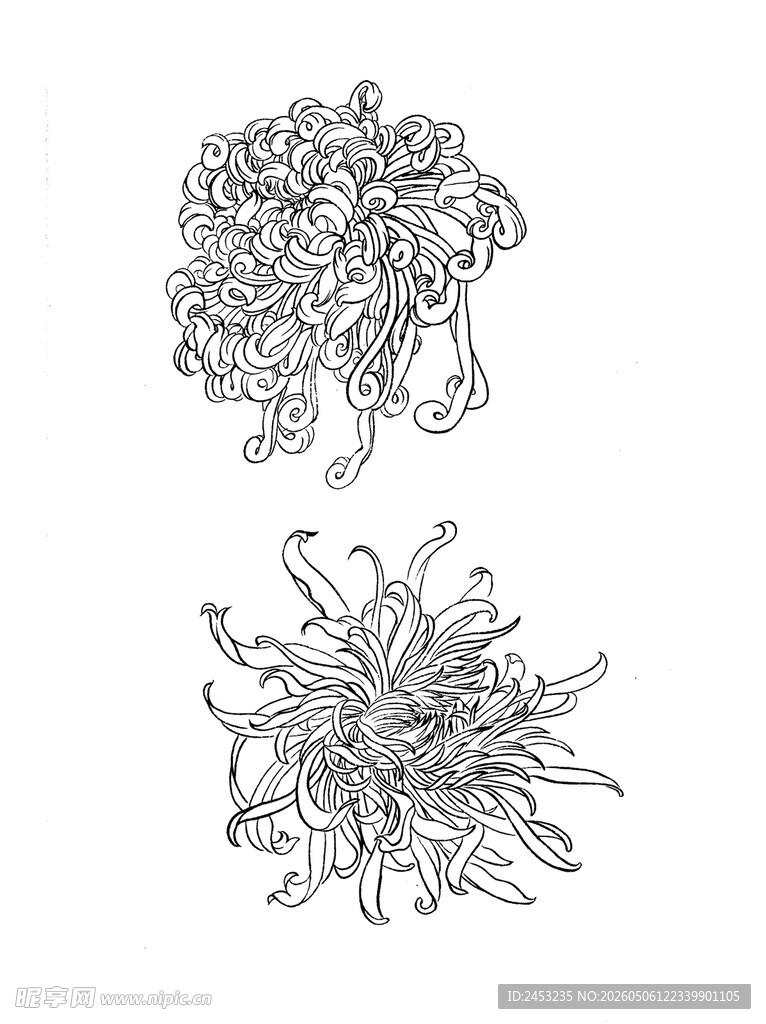 手绘花卉图案设计稿