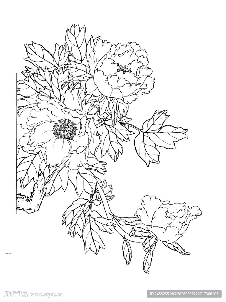 花卉线描图案