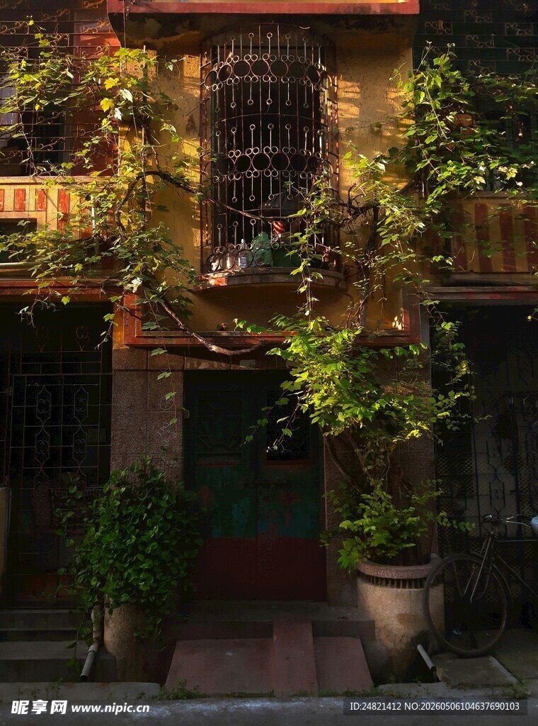 绿植装点的温馨住宅入口