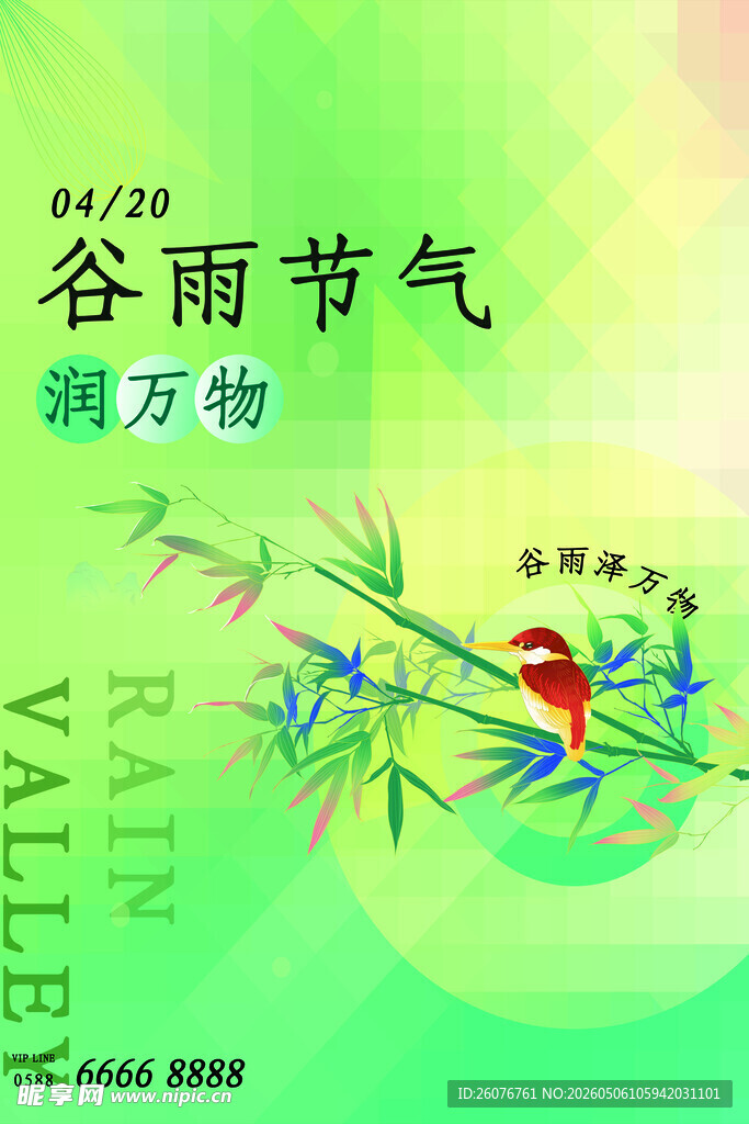 谷雨海报 