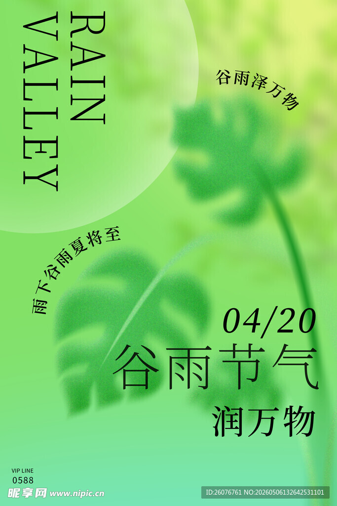 谷雨海报 