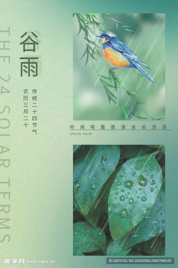 谷雨海报 
