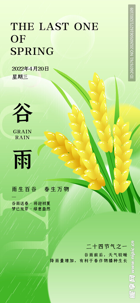 谷雨海报
