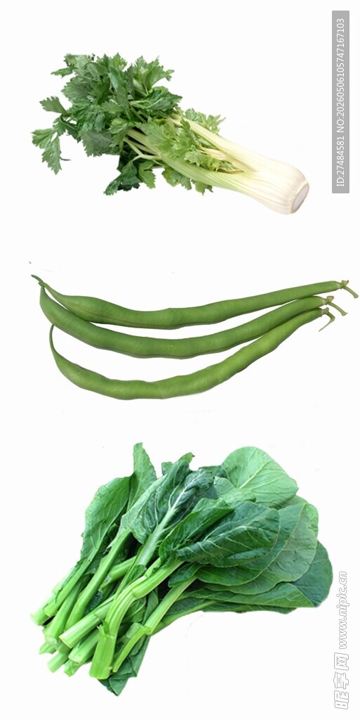 新鲜绿叶蔬菜组合