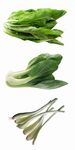 新鲜青菜与豆角蔬菜组合