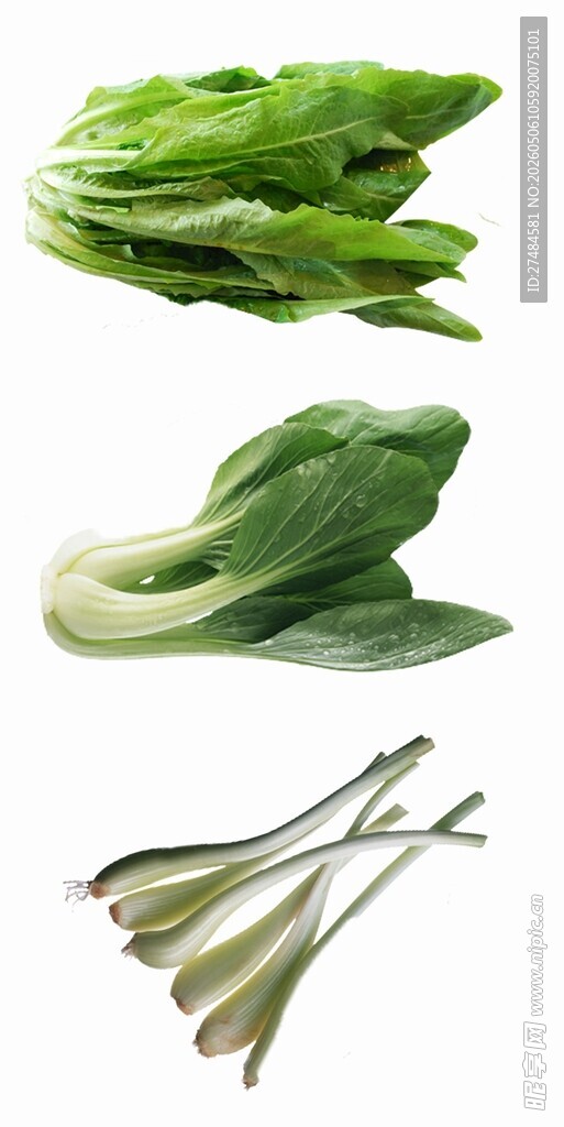 新鲜青菜与豆角蔬菜组合