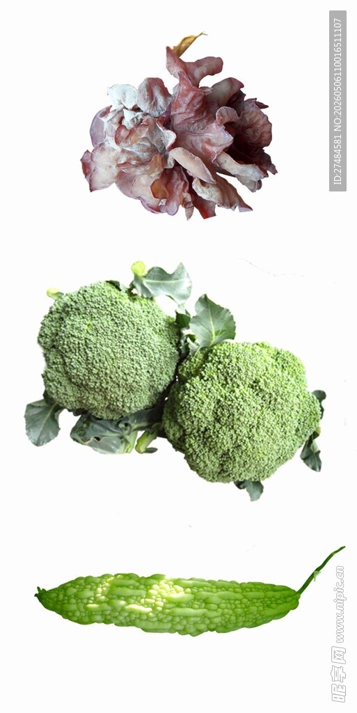 多样新鲜蔬菜组合