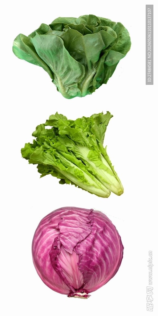 新鲜多彩蔬菜组合