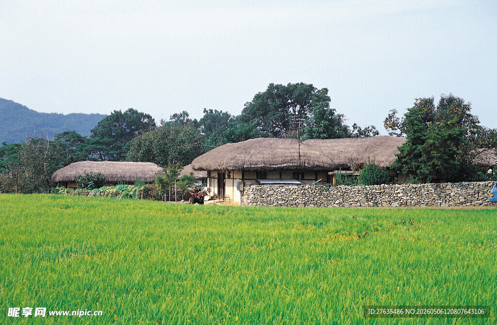 田园草屋绿意盎然的乡村景