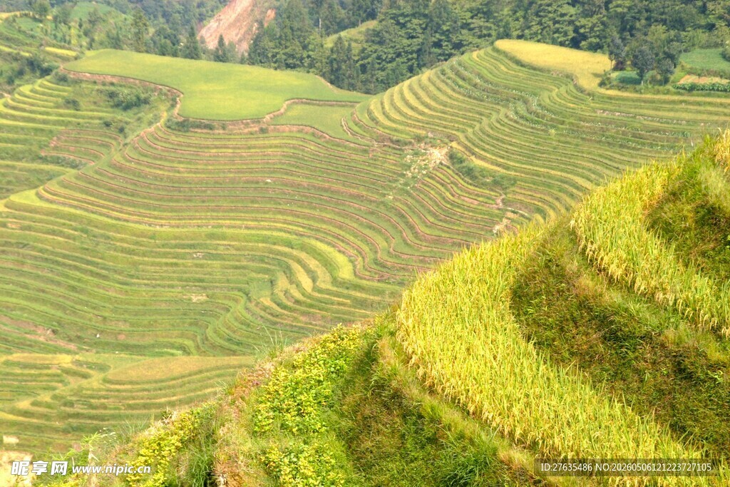 壮丽梯田风光