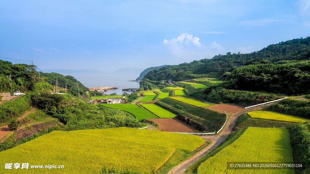 田园风光稻田美景