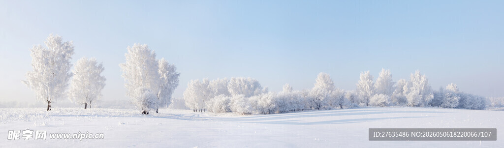 冬日雪景