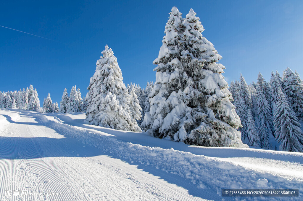 冬日雪覆山林美景