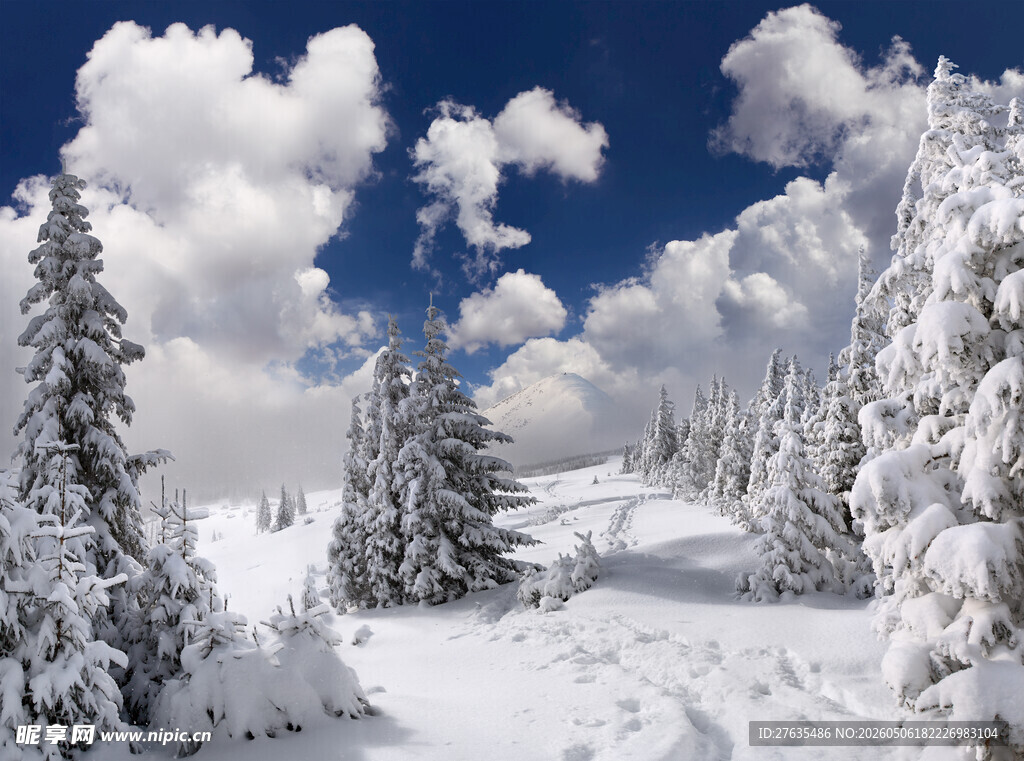 冬日雪景中的银白山林