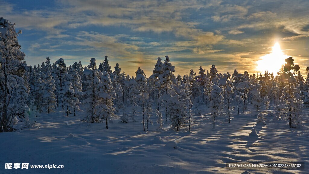 冬日雪林落日美景