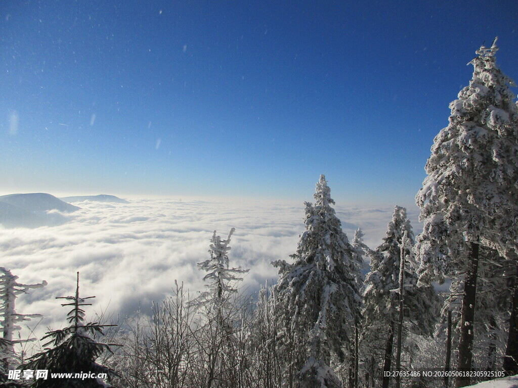 雪岭云海间的壮美山林