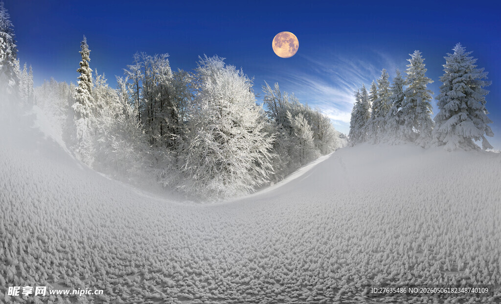 冬日雪林月夜美景