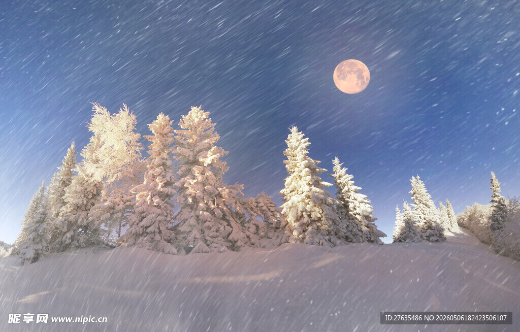 雪夜山林