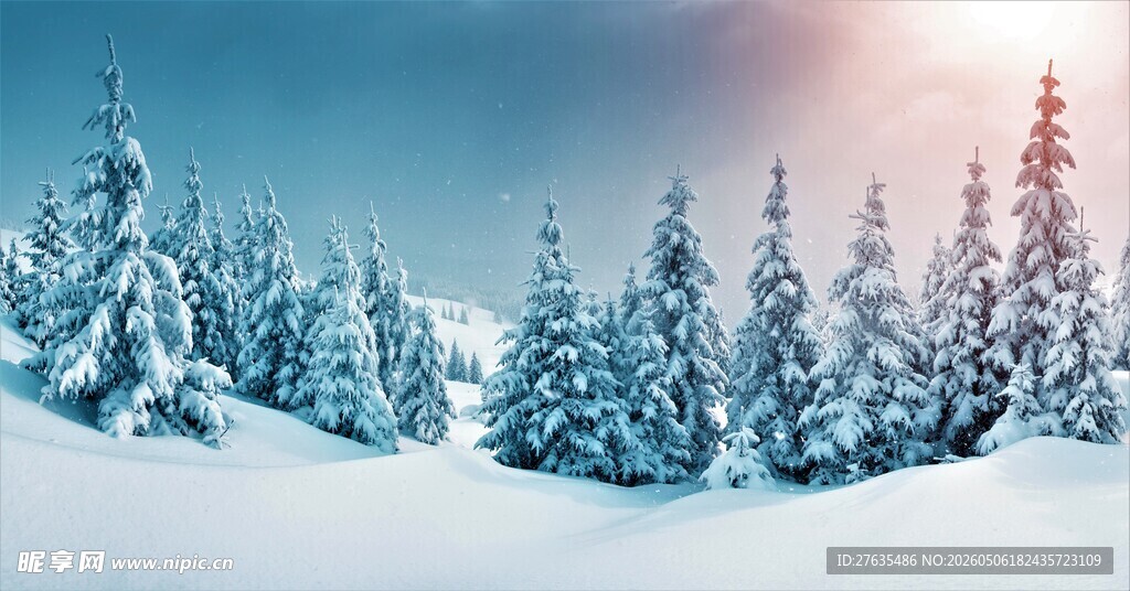 冬日雪景中的松林美景