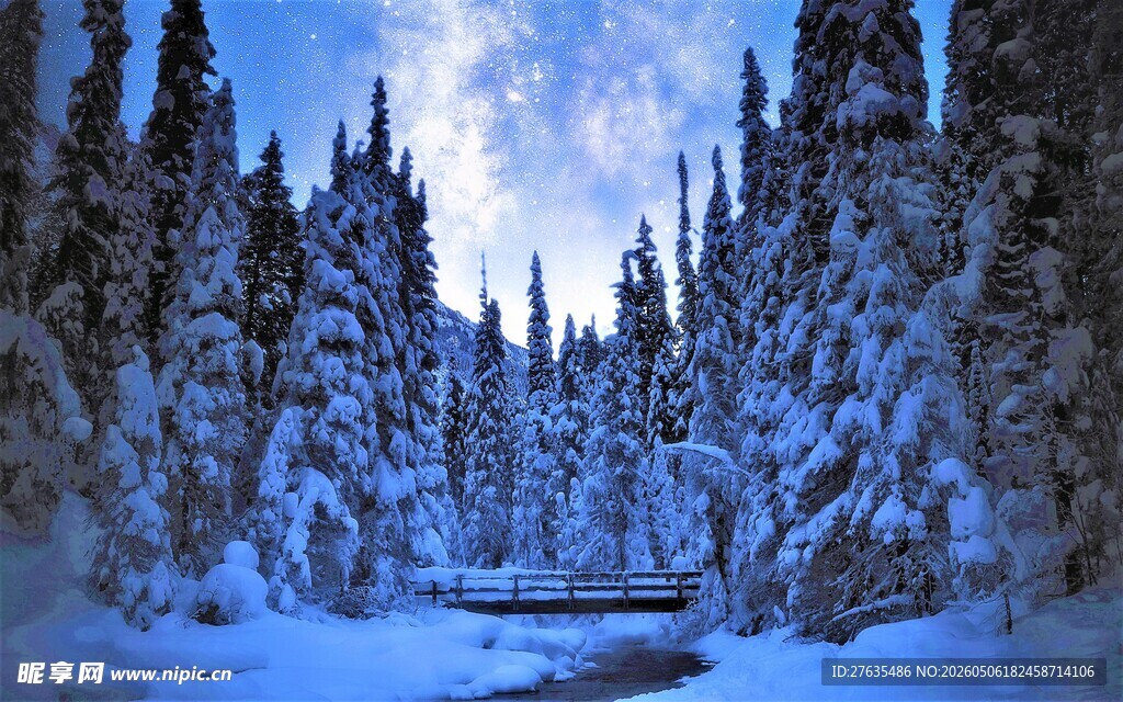 冬日雪林静谧美景