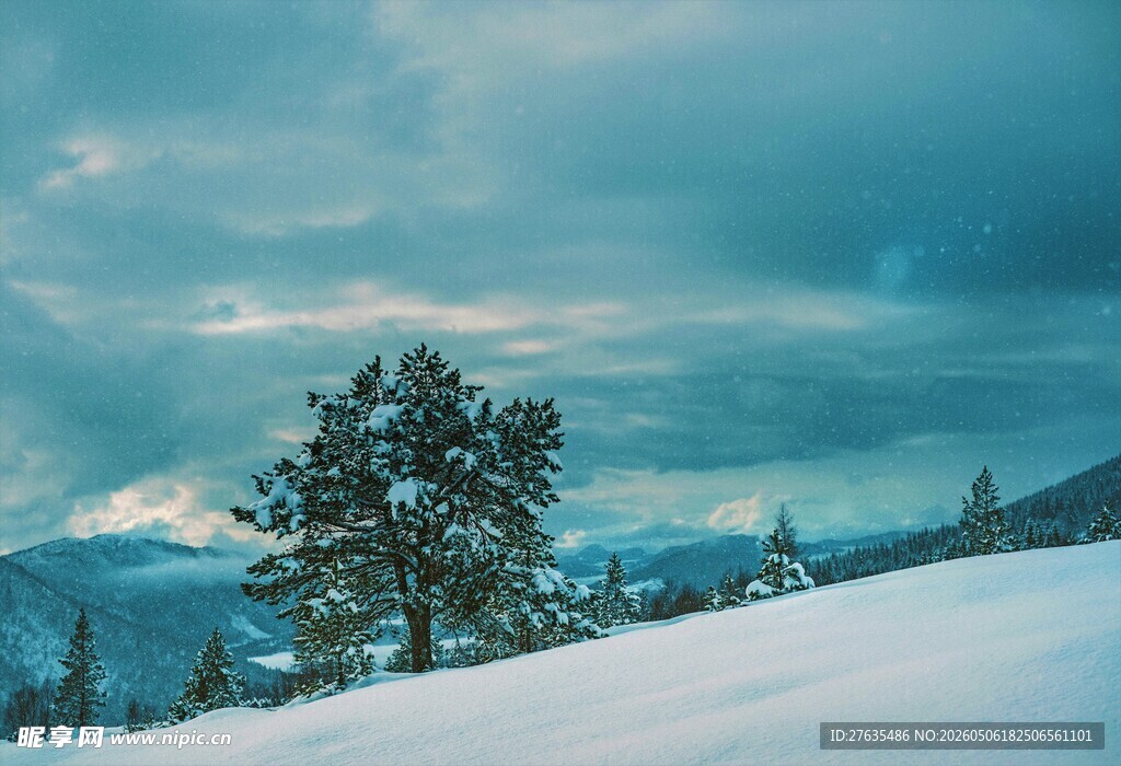 冬日雪山孤树风景图