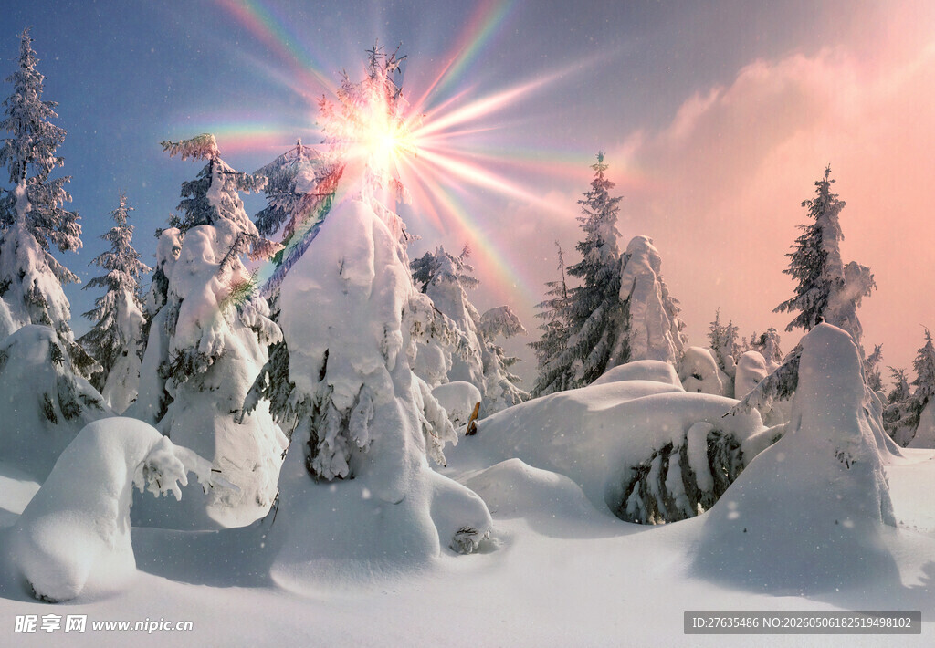 冬日雪林日出美景