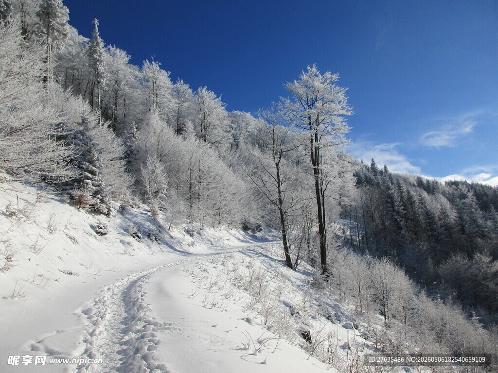 冬日雪覆山林的静谧之路