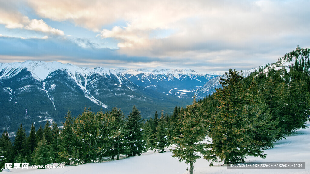 雪山松林间的壮丽景致