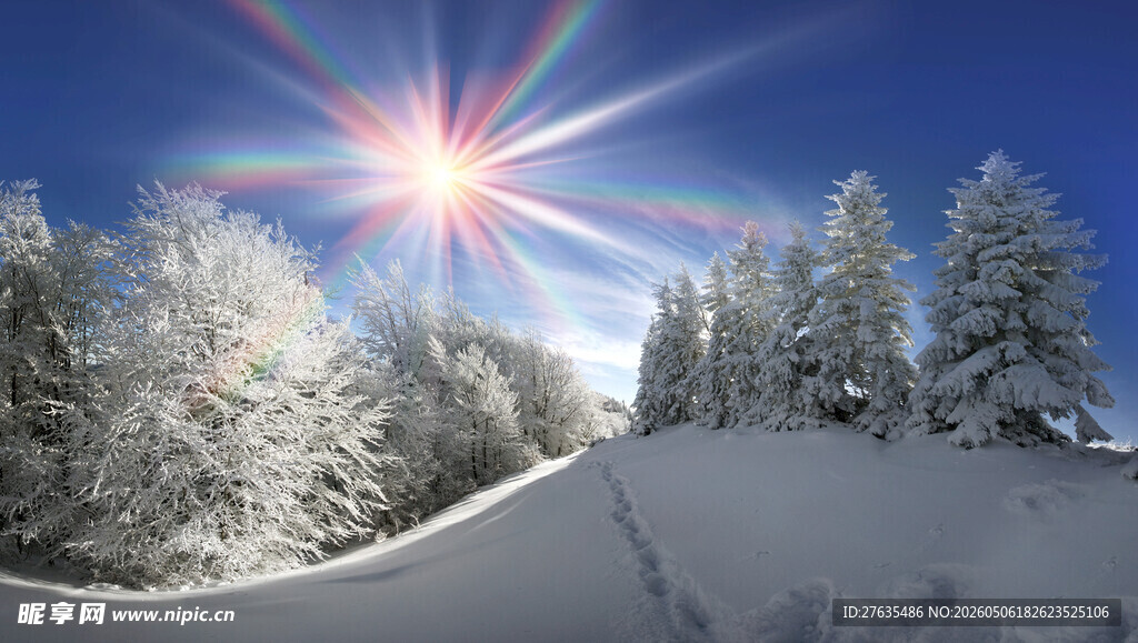冬日雪景中的耀眼阳光