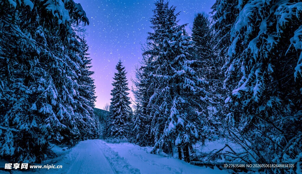 雪夜林间路